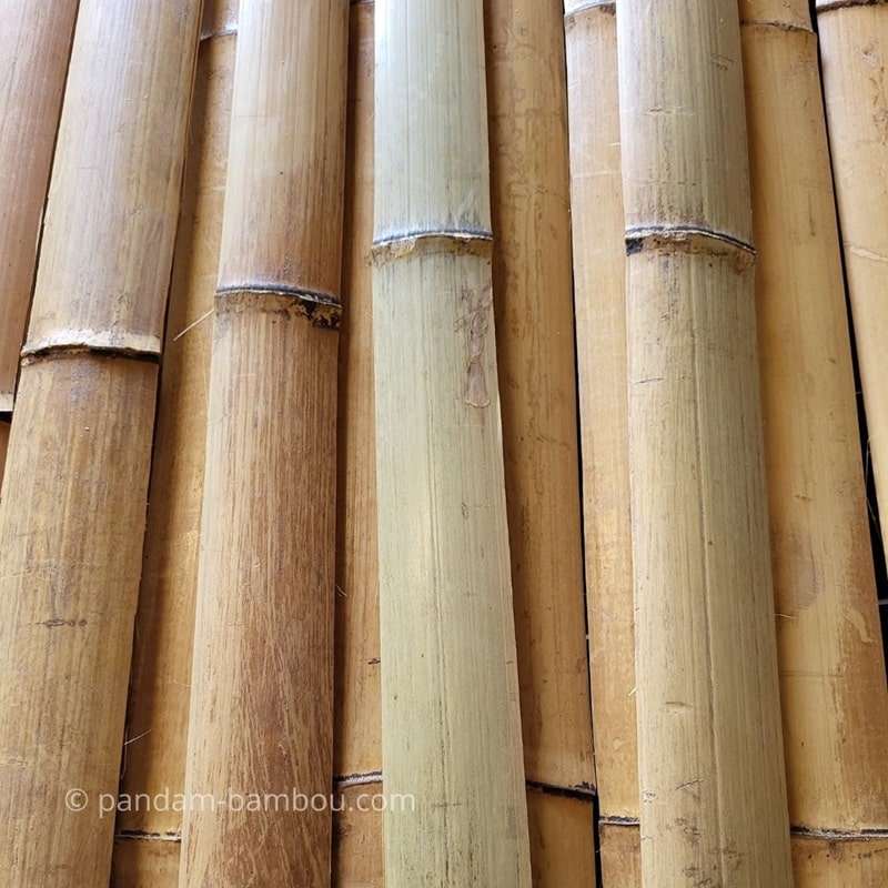 Lamelles de Bambou Sec (L5-7 cm) – Pandam