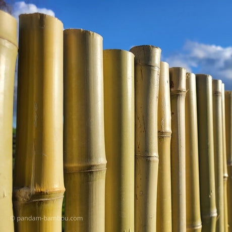 Clôture en bambou naturel brise vue