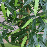 Bambou artificiel vert